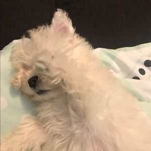 Meet your Posher, Kim